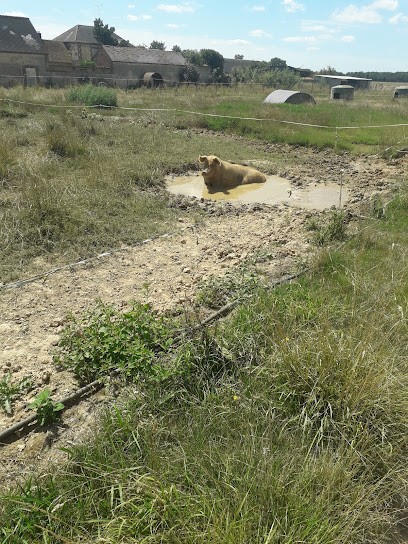 Produits Régionaux, Marchés Alimentaire à Bâlines
