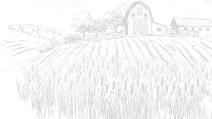 Drive Des Campagnes, Marchés Alimentaire à Dunes