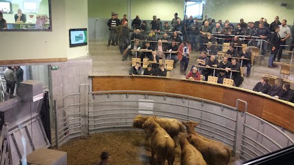 Marché au Cadran de Mauriac, Marchés Alimentaire à Mauriac