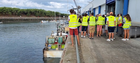 Criée de Saint Gilles Croix de Vie, Marchés Alimentaire à Saint-Gilles-Croix-de-Vie