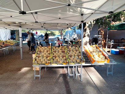 DES VIGNES, Marchés Alimentaire à Gastes