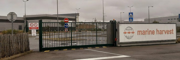 Marine Harvest Boulogne, Marchés Alimentaire à Boulogne-sur-Mer