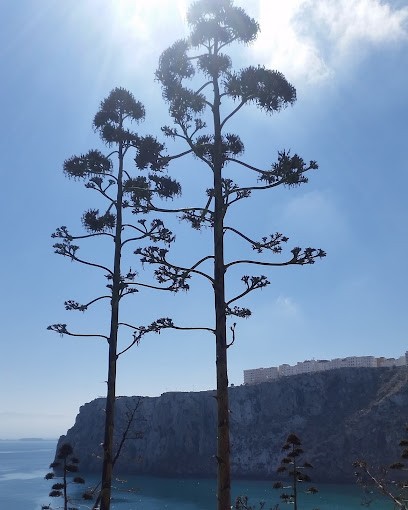 Akkouh Said, Marchés Alimentaire à Noyon