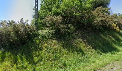 Pizza, Marchés Alimentaire à Douarnenez
