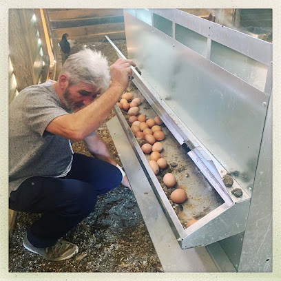 La Ruche qui dit Oui ! Lormont Les Nouvelles Fermes, Marchés Alimentaire à Lormont