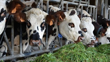 Malledan Pierre-yvon, Marchés Alimentaire à Pleumeur-Gautier