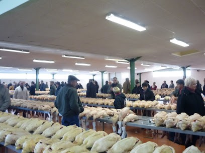 Halle au gras, Marchés Alimentaire à Samatan