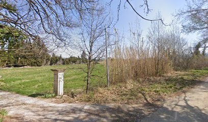 L'escargot De Cavaillon, Marchés Alimentaire à Cavaillon
