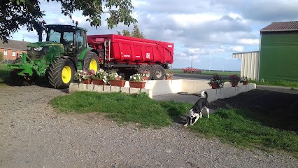 Ferme Alexandre, Marchés Alimentaire à Carnin