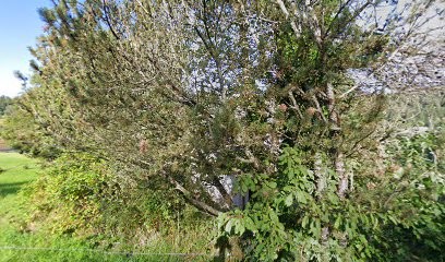 Drive fermier Saint Dié, Marchés Alimentaire à Wisembach