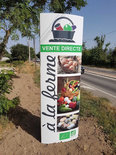 EARL Les champs de la Durance Pascal AVIGNON, Marchés Alimentaire à Mallemort