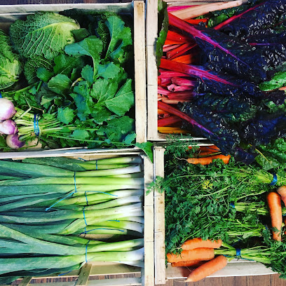 Ruche De Houquetot - Rue Du Presbytère, Marché Alimentaire à Houquetot