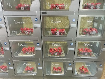 Les Fraises De Rebetz, Marchés Alimentaire à Chaumont-en-Vexin