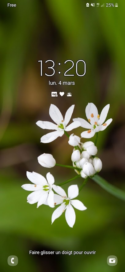 Devillepicerie, Marchés Alimentaire à Déville-lès-Rouen